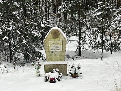 Foto 326